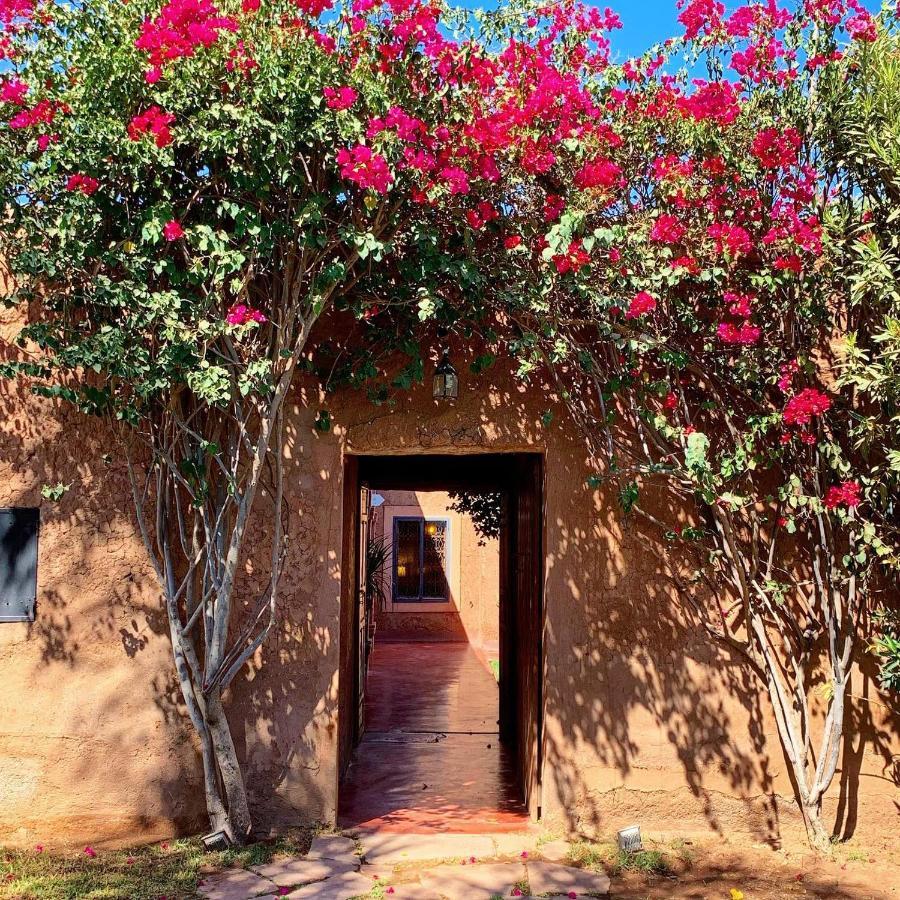Bed and Breakfast La Ferme Berbere Adult Only Ель-Харкат Екстер'єр фото