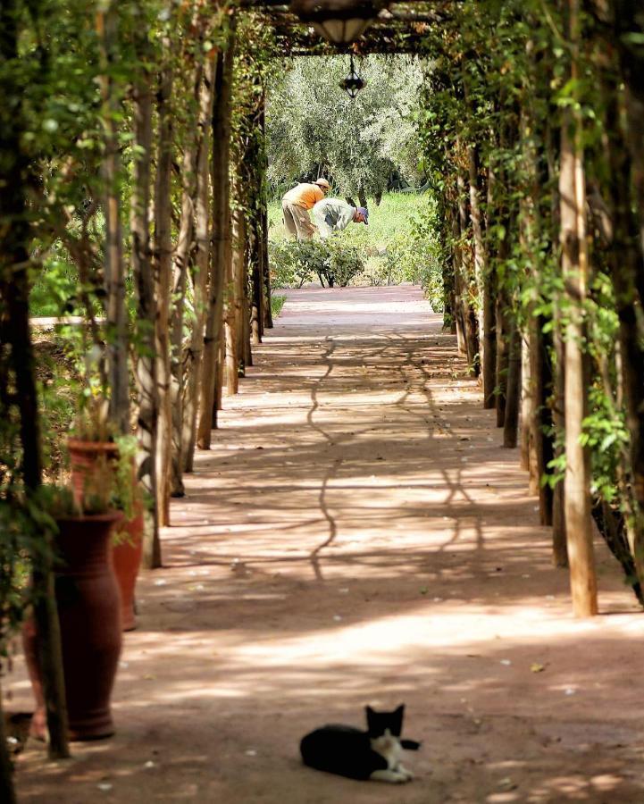 Bed and Breakfast La Ferme Berbere Adult Only Ель-Харкат Екстер'єр фото